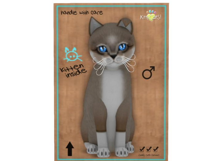 KittyCatS Box - 9 T - M - Foxie - Cocoa Cream