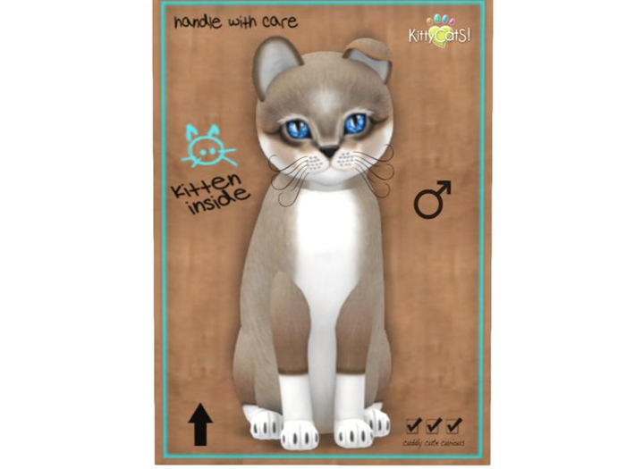 KittyCatS Box - 9 T - M - Foxie - Cocoa Cream
