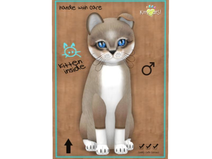KittyCatS Box - 9 T - M - Foxie - Cocoa Cream