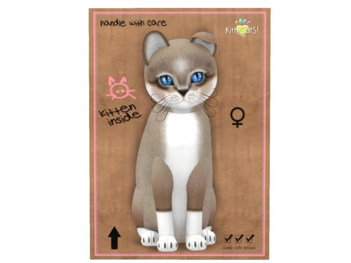 KittyCatS Box - 9 T - F - Foxie - Cocoa Cream