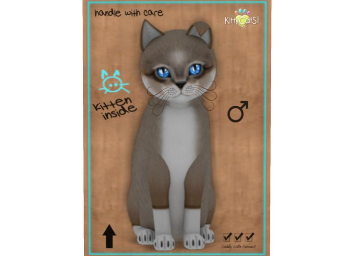 KittyCatS Box - 9 T - M - Foxie - Cocoa Cream