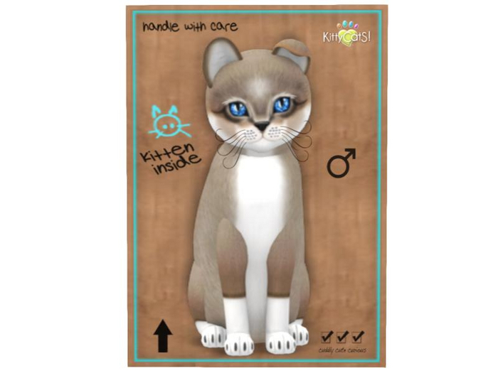 KittyCatS Box - 9 T - M - Foxie - Cocoa Cream