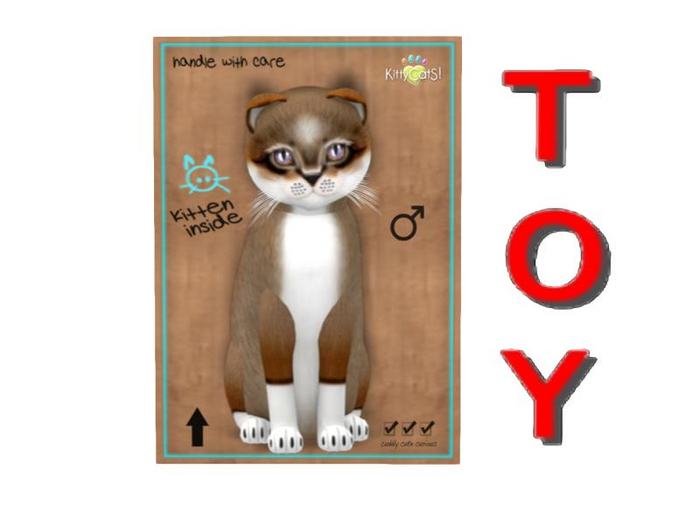 KittyCatS Box - 9 T - M - Foxie - Chestnut - Toy