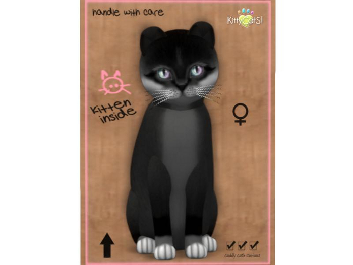 KittyCatS Box - 9 T - F - Foxie - Soft Black