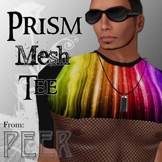 PEER Style: Mesh Tee Shirt PRISM