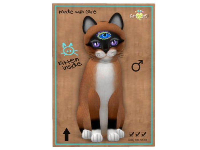 KittyCatS Box - 8T - M - Foxie - Red Mask