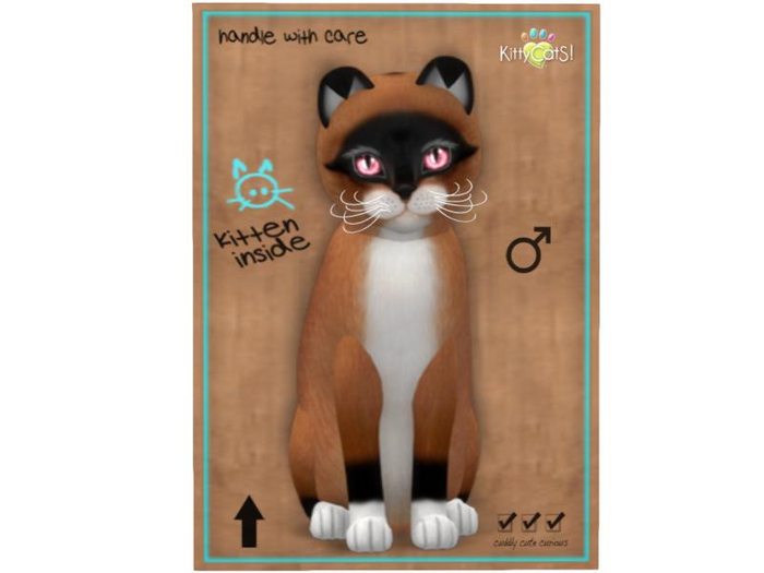 KittyCatS Box - 9 T - M - Foxie - Red Mask