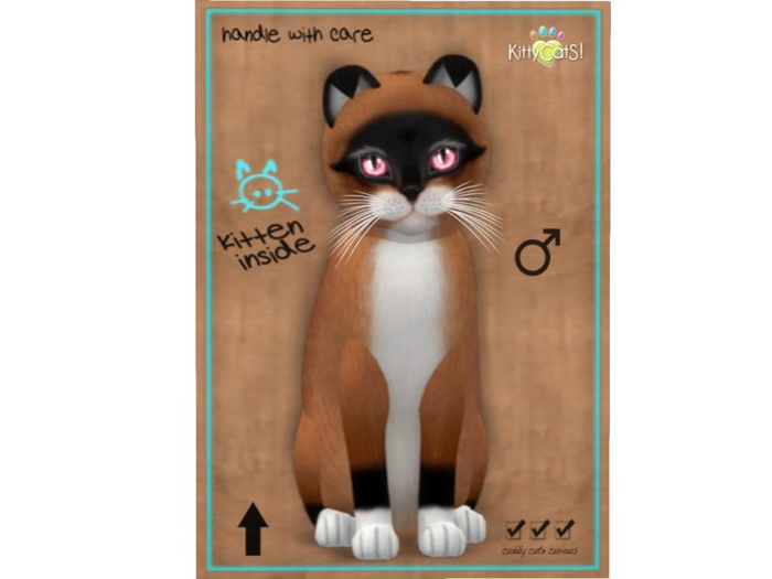 KittyCatS Box - 9 T - M - Foxie - Red Mask