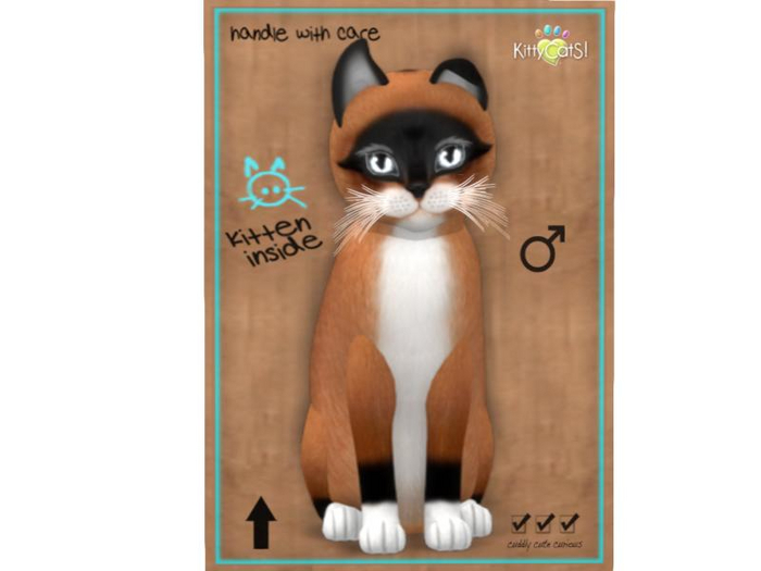 KittyCatS Box - 8T - M - Foxie - Red Mask