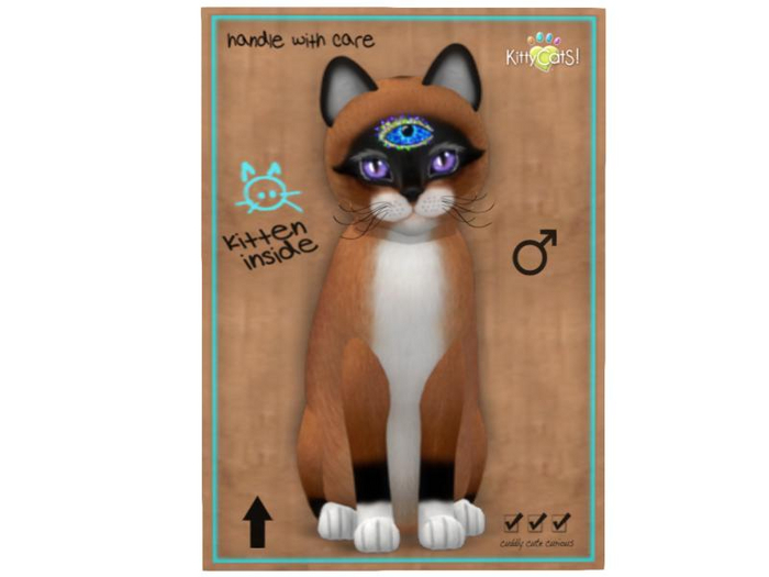 KittyCatS Box - 8T - M - Foxie - Red Mask