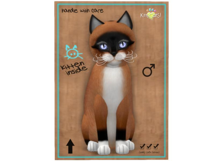 KittyCatS Box - 9 T - M - Foxie - Red Mask