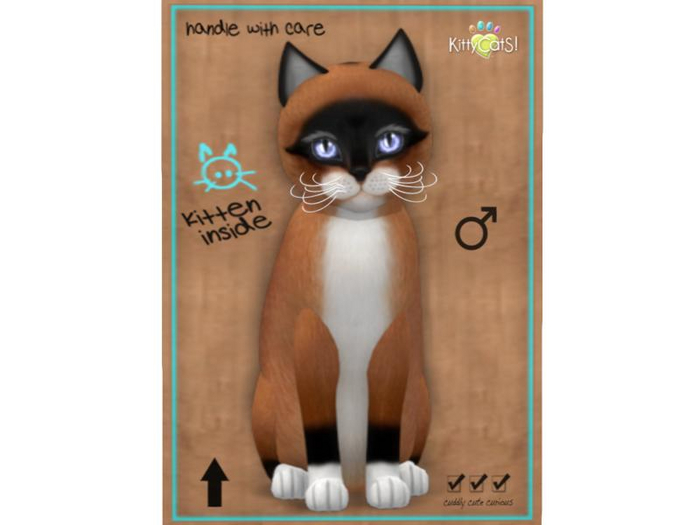 KittyCatS Box - 9 T - M - Foxie - Red Mask