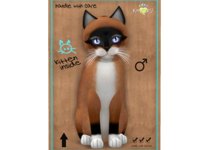 KittyCatS Box - 9 T - M - Foxie - Red Mask