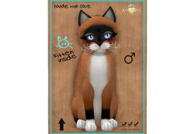 KittyCatS Box - 9 T - M - Foxie - Red Mask