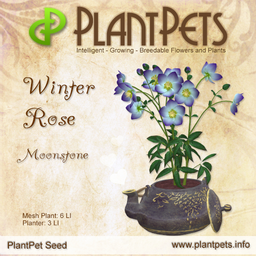 PlantPet Seed [Winter Rose *Moonstone*]