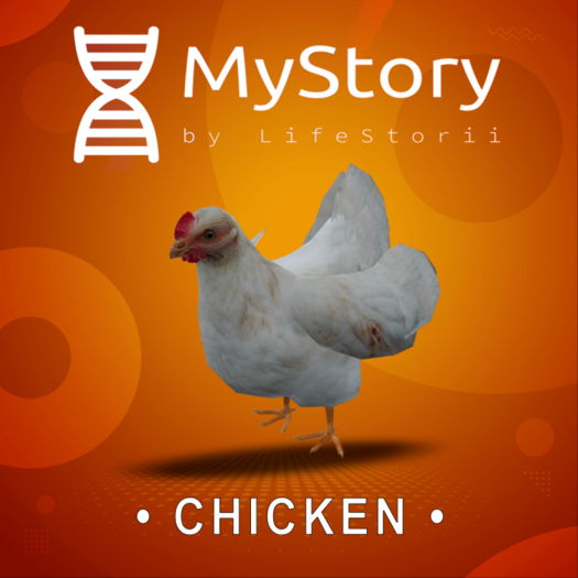 BulkChicken - [MyStory](5)