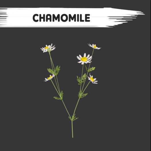 BatchChamomile - [MyStory](50)