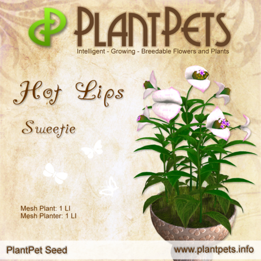 PlantPet Seed [Hot Lips *Sweetie*] RARE - JUNE SALE