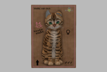 Female Breedable Cat KittyCatS Toyger - Tan Genesis Evergreen