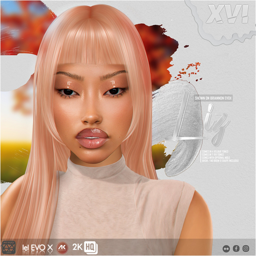 XVI - Liz / Praline / EvoX HD