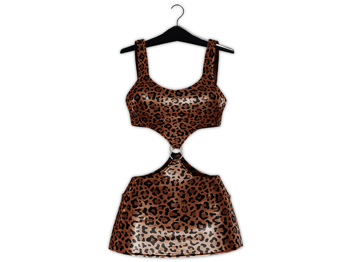 Garbaggio // Julia Dress - Leopard