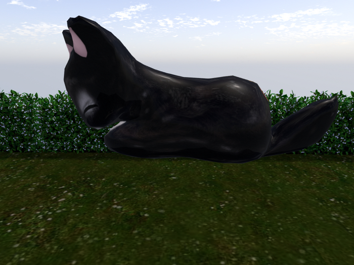 Stray Cats Kitten - Stray Kitty (F)