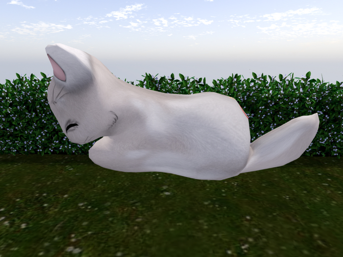 Stray Cats Kitten - Stray Kitty (F)