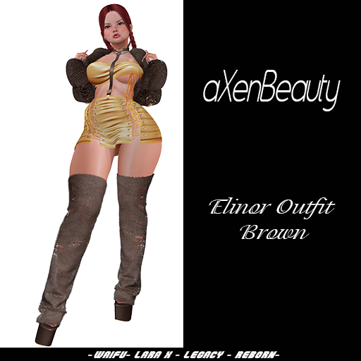 aX: Elinor Outfit Brown
