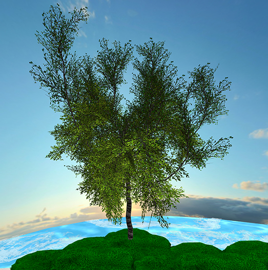 Hayabusa Design - Prunus Mume