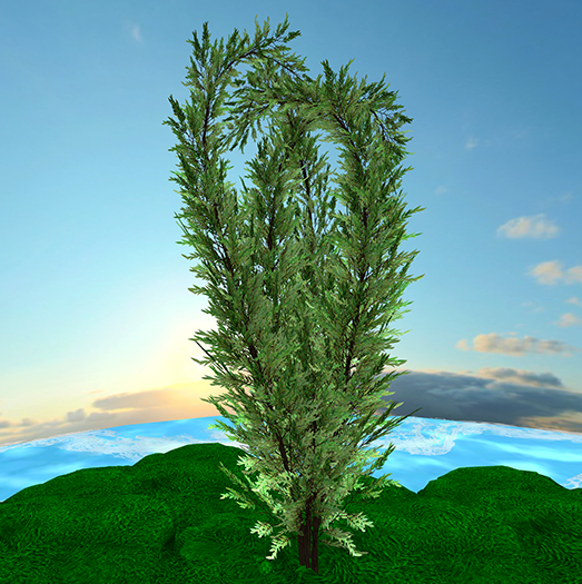 Hayabusa Design - Nissa Sinensis OPTT