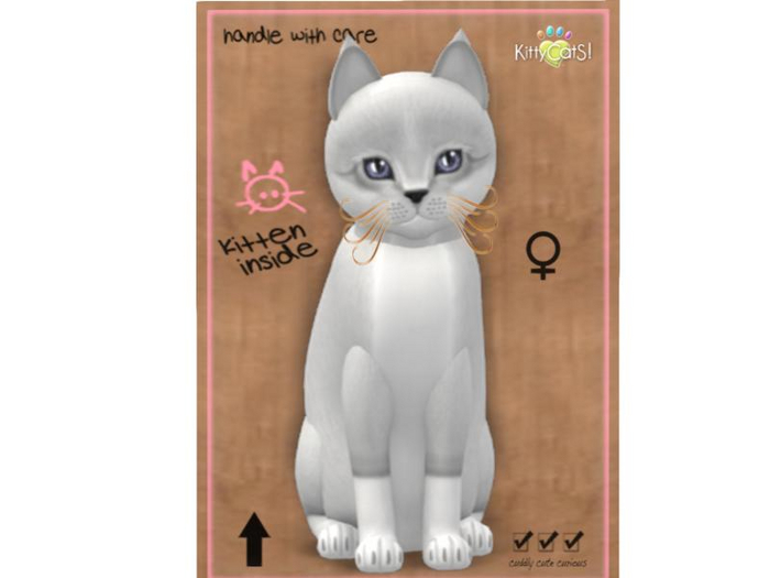 KittyCatS Box - 9 T - F - Foxie - Snow