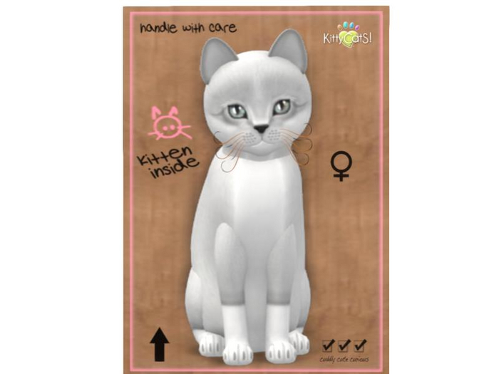 KittyCatS Box - 8T - F - Foxie - Snow