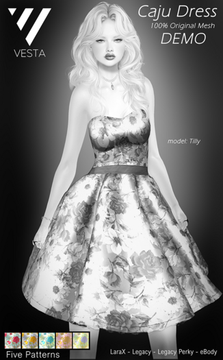 VESTA - Caju Dress DEMO
