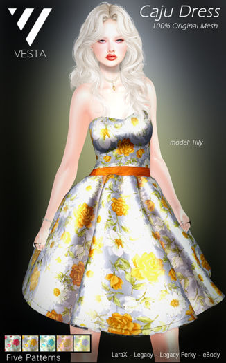 VESTA - Caju Dress Fatpack