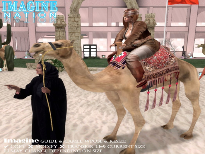 Imagine Guide & Camel wPose&Resize