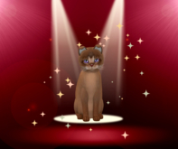 KittyCatS Box - Female Abyssinian - Ruddy