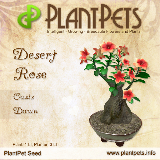 SUMMER SALE - PlantPet Seed [Desert Rose *Oasis Dawn*] - common - free breeding - no extra costs