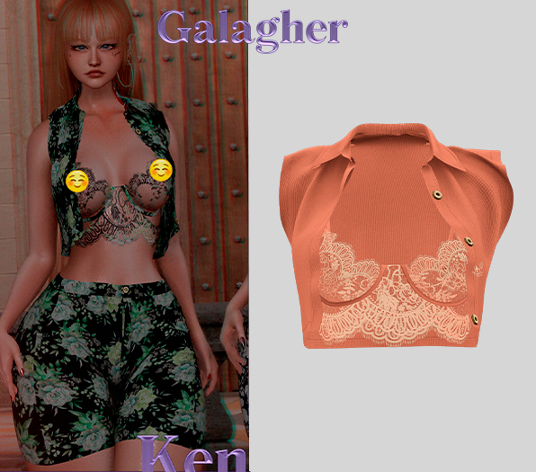 Galagher - Kenia Top Edition 5