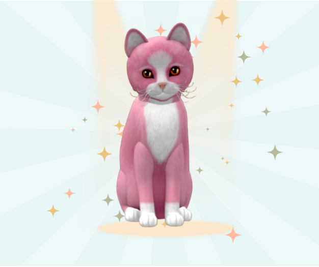 Kittycats Box ♀ F Chateau Cat - Pink & White No. 1