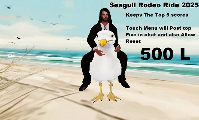 Seagull Rodeo Ride 2025 Boxed