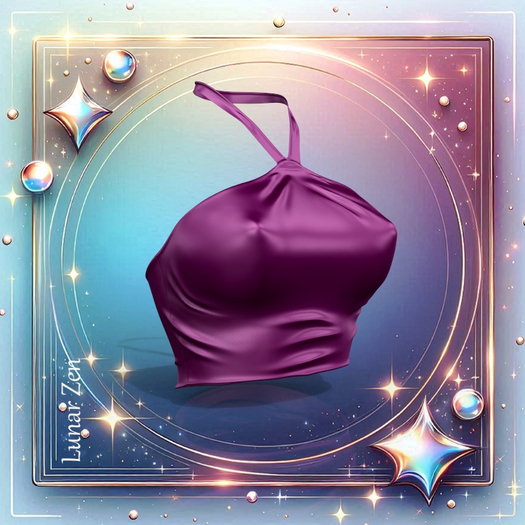 LaraX Petite Top