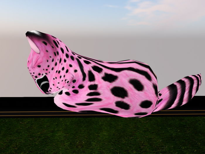 Stray Cats Kitten - Stray Kitty (F)