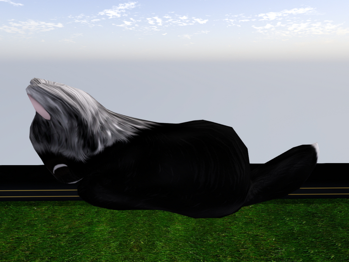 Stray Cats Kitten - Stray Kitty (F)