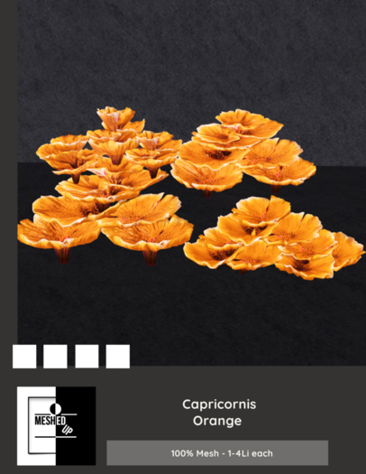 MeshedUp: Capricornis Orange 