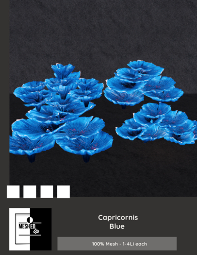 MeshedUp: Capricornis Blue