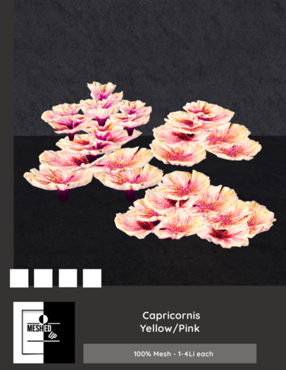 MeshedUp: Capricornis Yellow/Pink