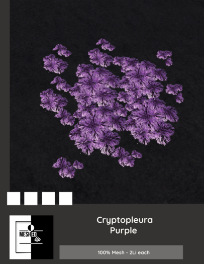 MeshedUp: Cryptopleura Purple 