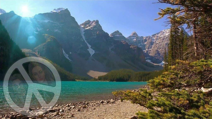 1109 - Summer - Canada - Mountains - Lake - Trees - Land Divider - Privacy Screen