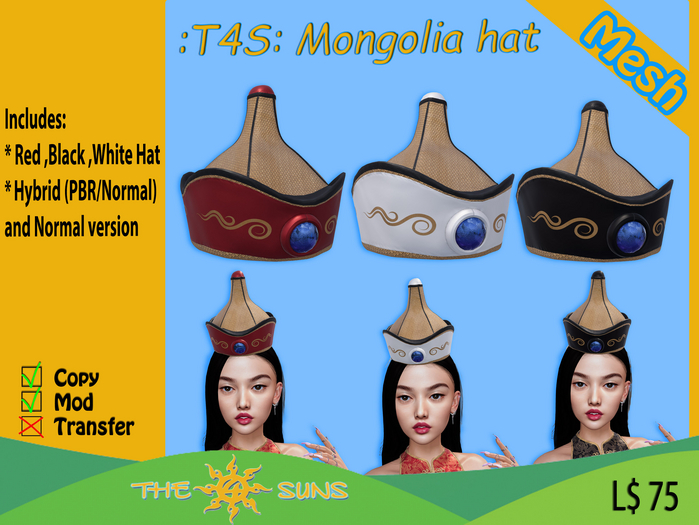 :T4S: Mongolia hat