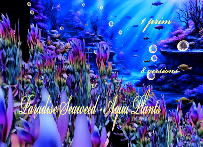 Paradise Seaweed -Aqua Plants